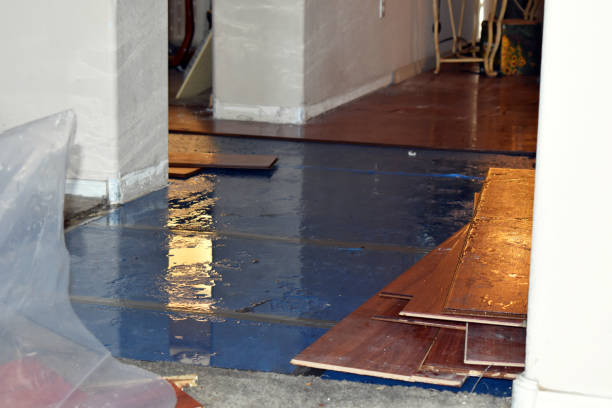 Professional Water Damage Restoration technician working in Hill, NH